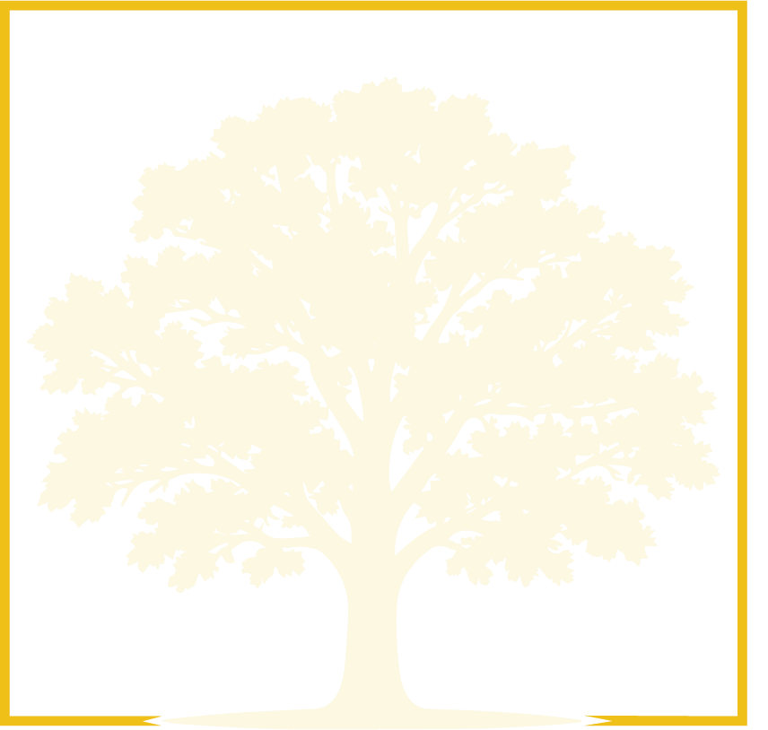 Tax Compliance & Planning